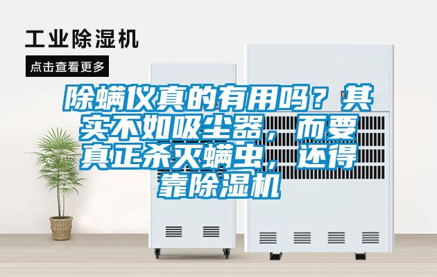 除螨儀真的有用嗎？其實不如吸塵器，而要真正殺滅螨蟲，還得靠除濕機