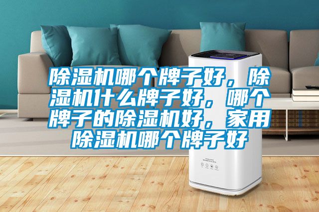 除濕機哪個牌子好，除濕機什么牌子好，哪個牌子的除濕機好，家用除濕機哪個牌子好