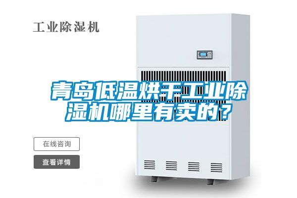 青島低溫烘干工業(yè)除濕機(jī)哪里有賣的？