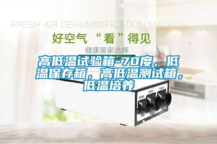 高低溫試驗(yàn)箱-70度，低溫保存箱，高低溫測試箱，低溫培養(yǎng)