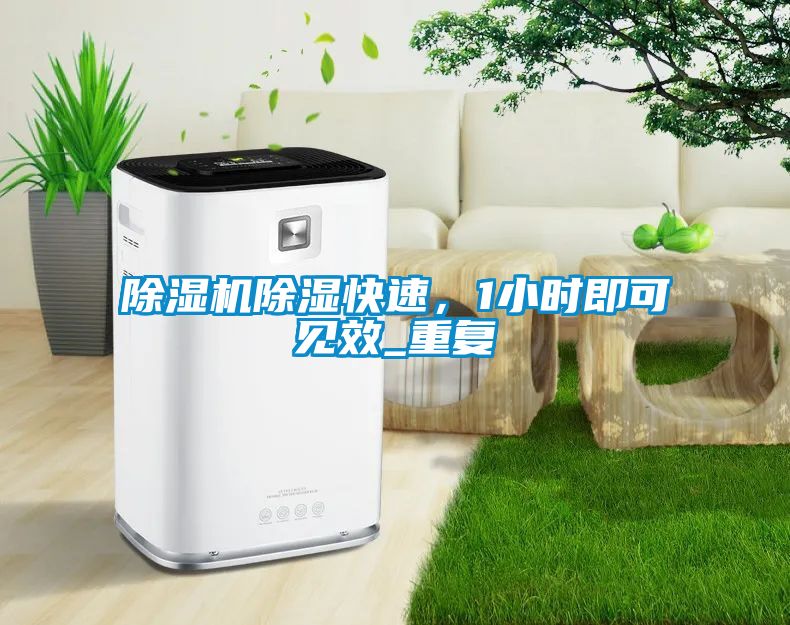 除濕機除濕快速，1小時即可見效_重復