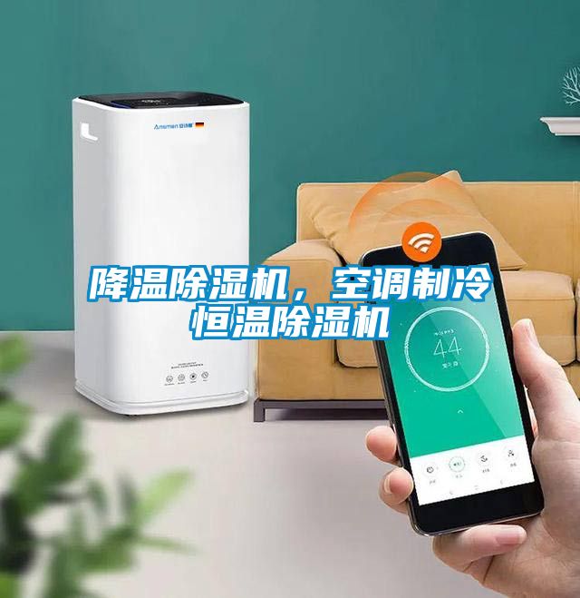 降溫除濕機(jī)，空調(diào)制冷恒溫除濕機(jī)