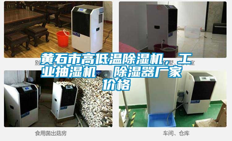 黃石市高低溫除濕機，工業(yè)抽濕機  除濕器廠家 價格