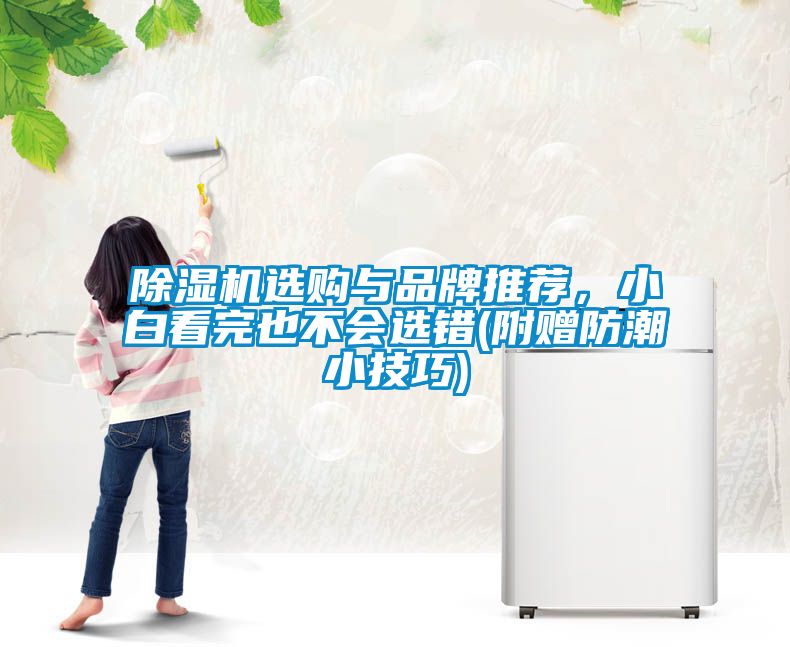 除濕機選購與品牌推薦，小白看完也不會選錯(附贈防潮小技巧)