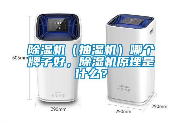 除濕機(jī)（抽濕機(jī)）哪個(gè)牌子好，除濕機(jī)原理是什么？