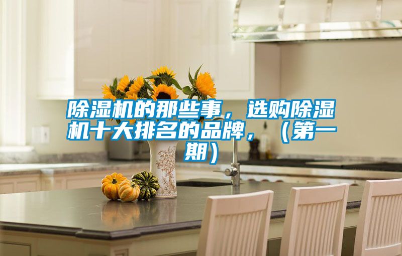 除濕機(jī)的那些事，選購除濕機(jī)十大排名的品牌，（第一期）
