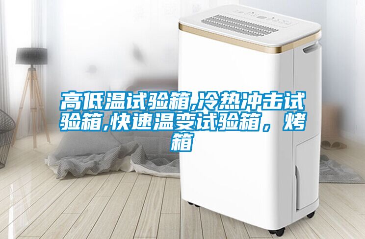 高低溫試驗(yàn)箱,冷熱沖擊試驗(yàn)箱,快速溫變試驗(yàn)箱，烤箱