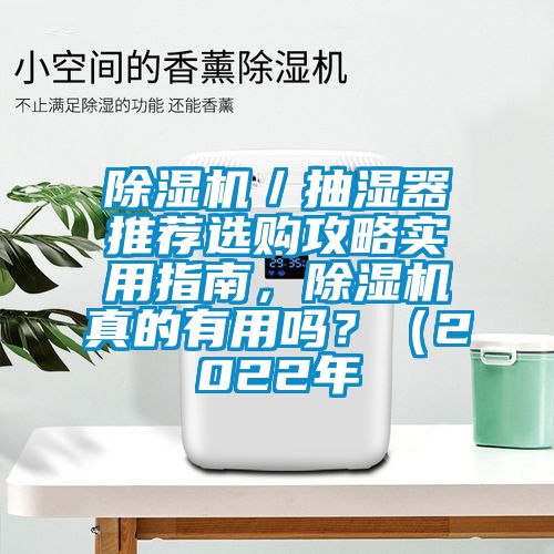 除濕機／抽濕器推薦選購攻略實用指南，除濕機真的有用嗎？（2022年