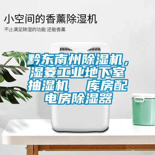 黔東南州除濕機，濕菱工業(yè)地下室抽濕機  庫房配電房除濕器