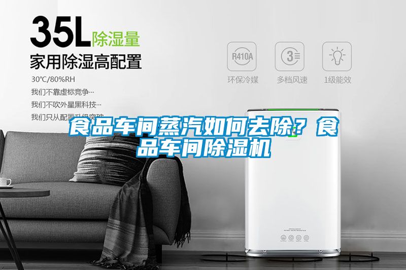 食品車間蒸汽如何去除？食品車間除濕機