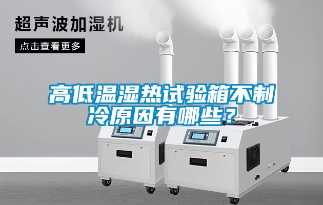 高低溫濕熱試驗(yàn)箱不制冷原因有哪些？
