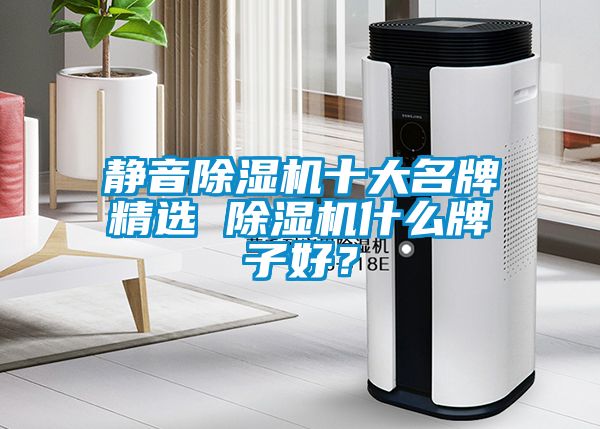靜音除濕機十大名牌精選 除濕機什么牌子好？