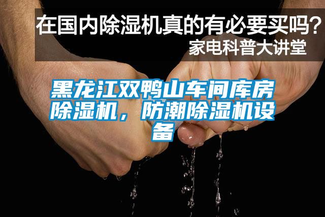 黑龍江雙鴨山車間庫房除濕機，防潮除濕機設(shè)備