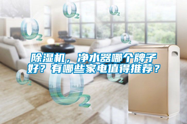 除濕機(jī)，凈水器哪個(gè)牌子好？有哪些家電值得推薦？