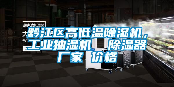 黔江區(qū)高低溫除濕機(jī)，工業(yè)抽濕機(jī)  除濕器廠家 價格