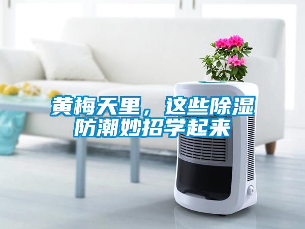 黃梅天里，這些除濕防潮妙招學起來