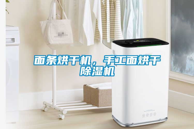 面條烘干機(jī)，手工面烘干除濕機(jī)