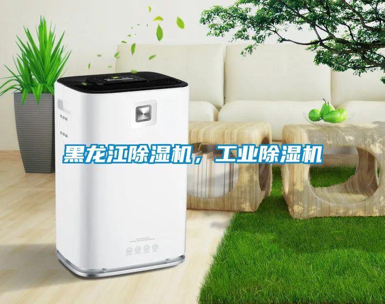 黑龍江除濕機，工業(yè)除濕機