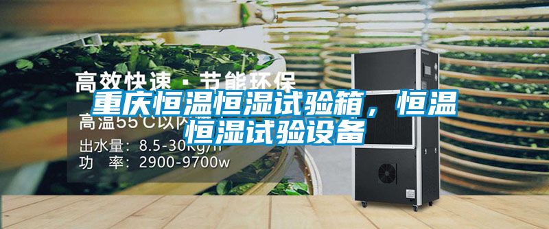重慶恒溫恒濕試驗箱，恒溫恒濕試驗設備