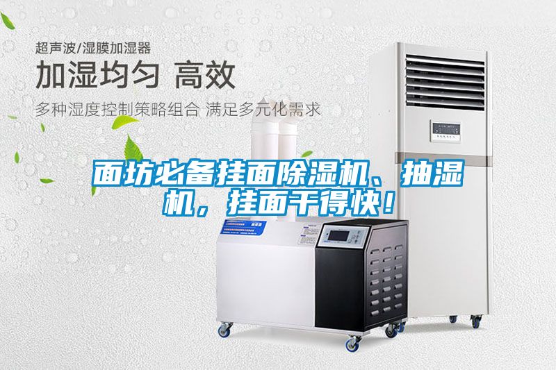 面坊必備掛面除濕機、抽濕機，掛面干得快！