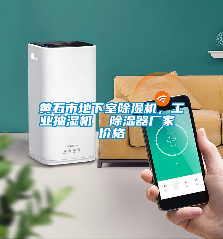 黃石市地下室除濕機(jī)，工業(yè)抽濕機(jī)  除濕器廠家 價(jià)格