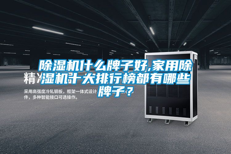 除濕機(jī)什么牌子好,家用除濕機(jī)十大排行榜都有哪些牌子？