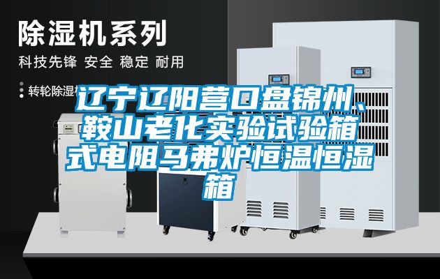 遼寧遼陽營口盤錦州、鞍山老化實驗試驗箱式電阻馬弗爐恒溫恒濕箱