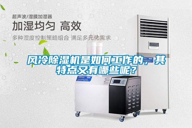 風(fēng)冷除濕機(jī)是如何工作的，其特點(diǎn)又有哪些呢？