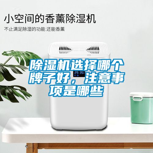 除濕機(jī)選擇哪個(gè)牌子好，注意事項(xiàng)是哪些