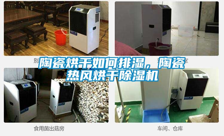 陶瓷烘干如何排濕，陶瓷熱風(fēng)烘干除濕機(jī)