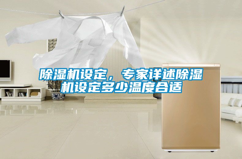 除濕機(jī)設(shè)定，專家詳述除濕機(jī)設(shè)定多少溫度合適