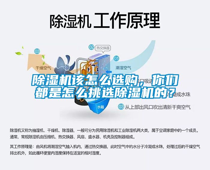 除濕機該怎么選購，你們都是怎么挑選除濕機的？
