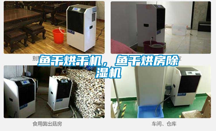 魚干烘干機，魚干烘房除濕機