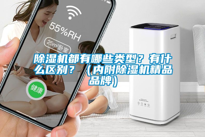除濕機都有哪些類型？有什么區(qū)別？（內(nèi)附除濕機精品品牌）