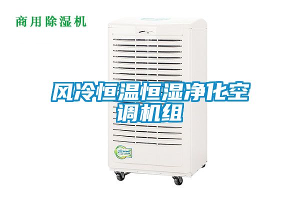 風(fēng)冷恒溫恒濕凈化空調(diào)機組