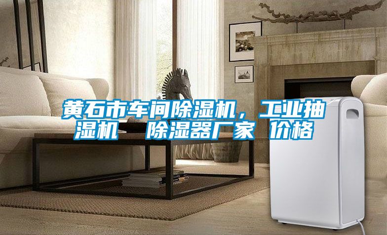 黃石市車間除濕機，工業(yè)抽濕機  除濕器廠家 價格