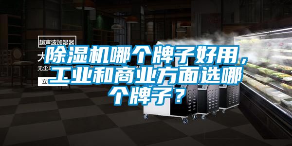 除濕機哪個牌子好用，工業(yè)和商業(yè)方面選哪個牌子？