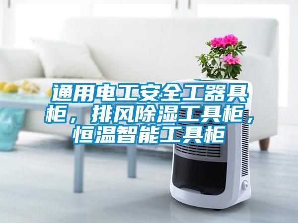 通用電工安全工器具柜，排風(fēng)除濕工具柜，恒溫智能工具柜