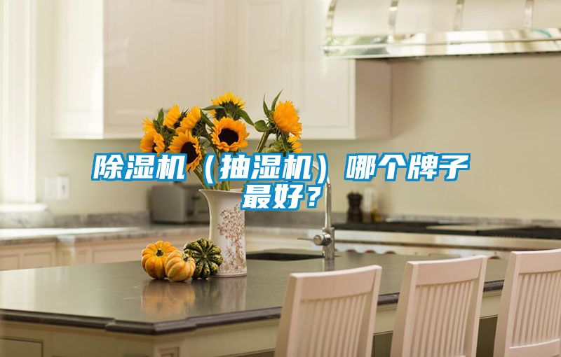 除濕機(jī)（抽濕機(jī)）哪個(gè)牌子最好？