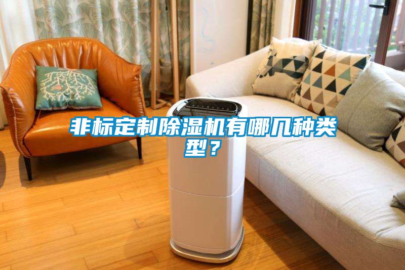 非標定制除濕機有哪幾種類型？