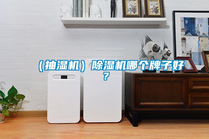 （抽濕機(jī)）除濕機(jī)哪個牌子好？