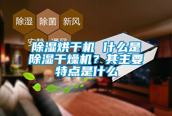 除濕烘干機 什么是除濕干燥機？其主要特點是什么