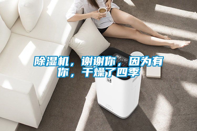 除濕機(jī)，謝謝你，因?yàn)橛心?，干燥了四?></div>
								<div   id=