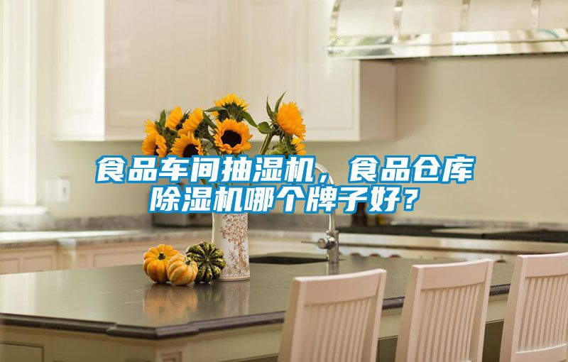 食品車間抽濕機，食品倉庫除濕機哪個牌子好？