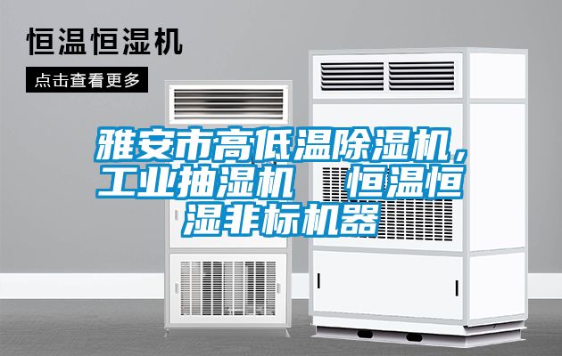 雅安市高低溫除濕機(jī)，工業(yè)抽濕機(jī)  恒溫恒濕非標(biāo)機(jī)器
