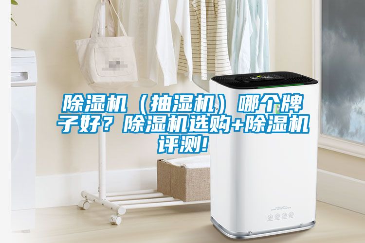 除濕機(jī)（抽濕機(jī)）哪個(gè)牌子好？除濕機(jī)選購(gòu)+除濕機(jī)評(píng)測(cè)!