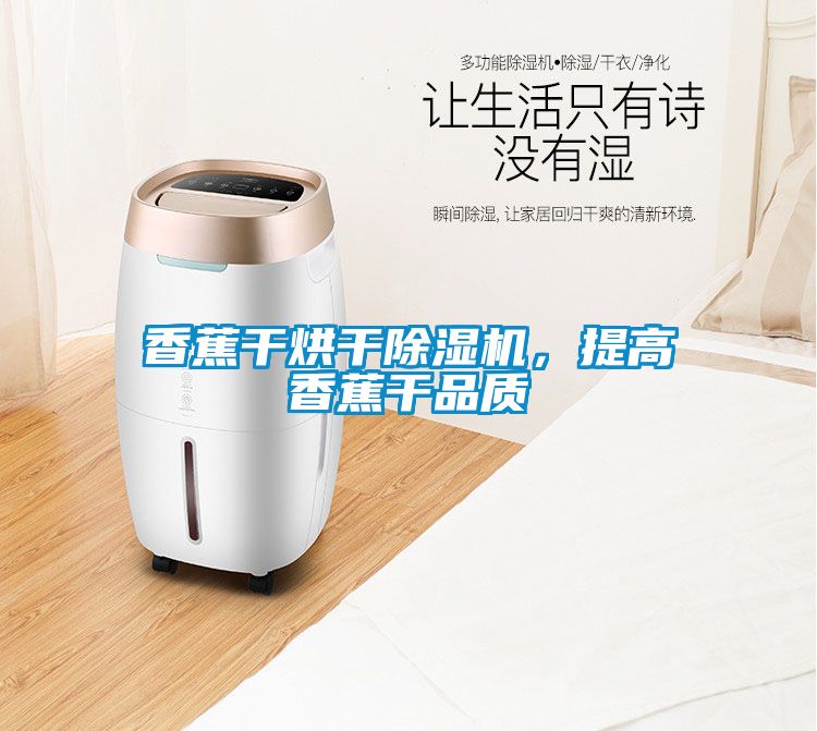 香蕉干烘干除濕機，提高香蕉干品質(zhì)