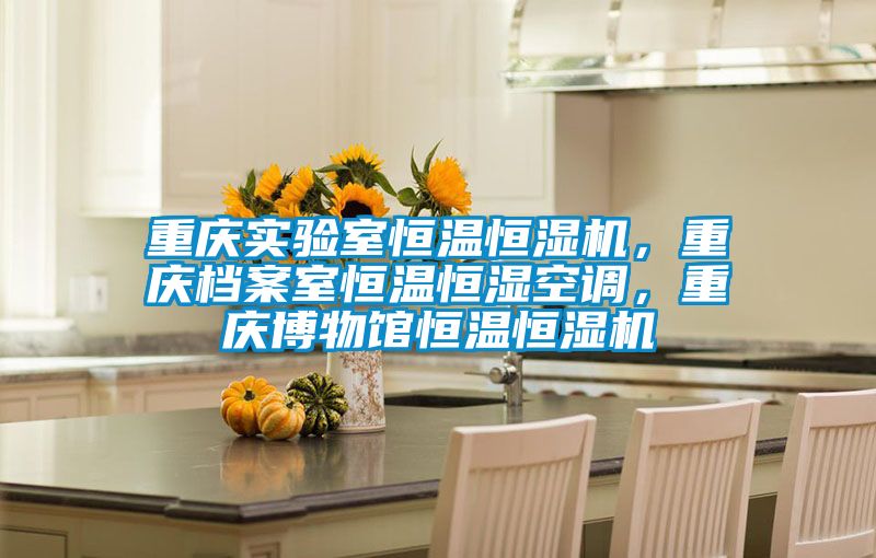 重慶實驗室恒溫恒濕機，重慶檔案室恒溫恒濕空調(diào)，重慶博物館恒溫恒濕機