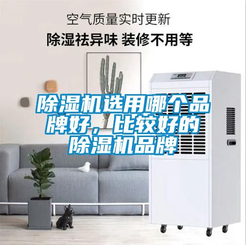 除濕機(jī)選用哪個(gè)品牌好，比較好的除濕機(jī)品牌