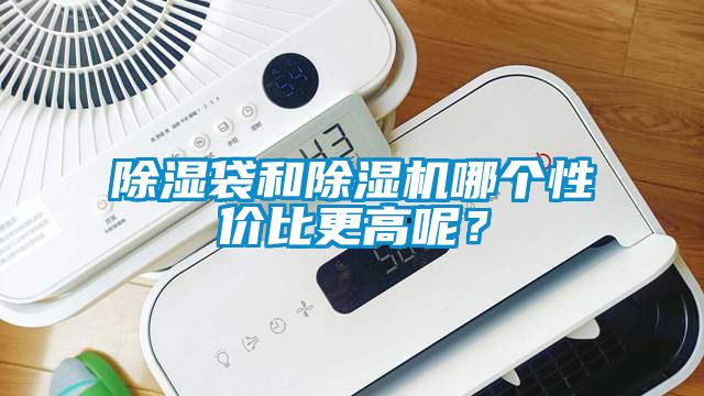 除濕袋和除濕機哪個性價比更高呢？